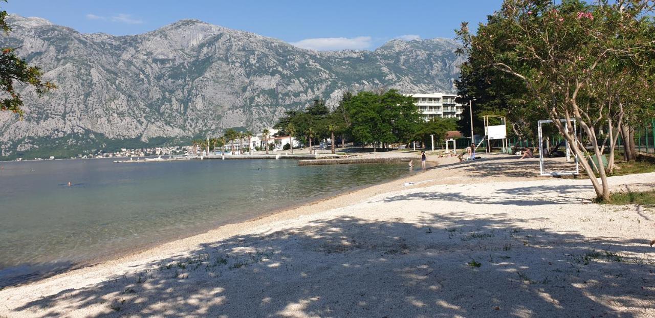 Apartments Scorpio Kotor Exterior photo