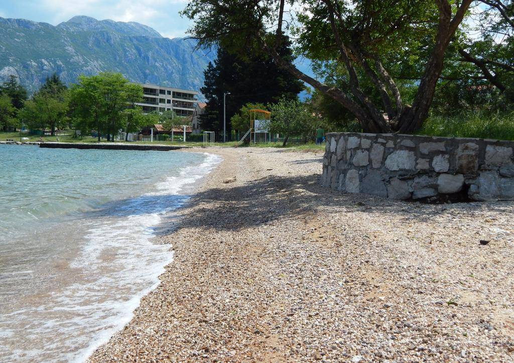 Apartments Scorpio Kotor Exterior photo